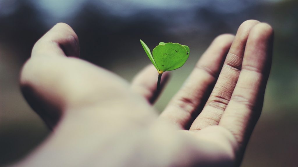 Supporting Growth
